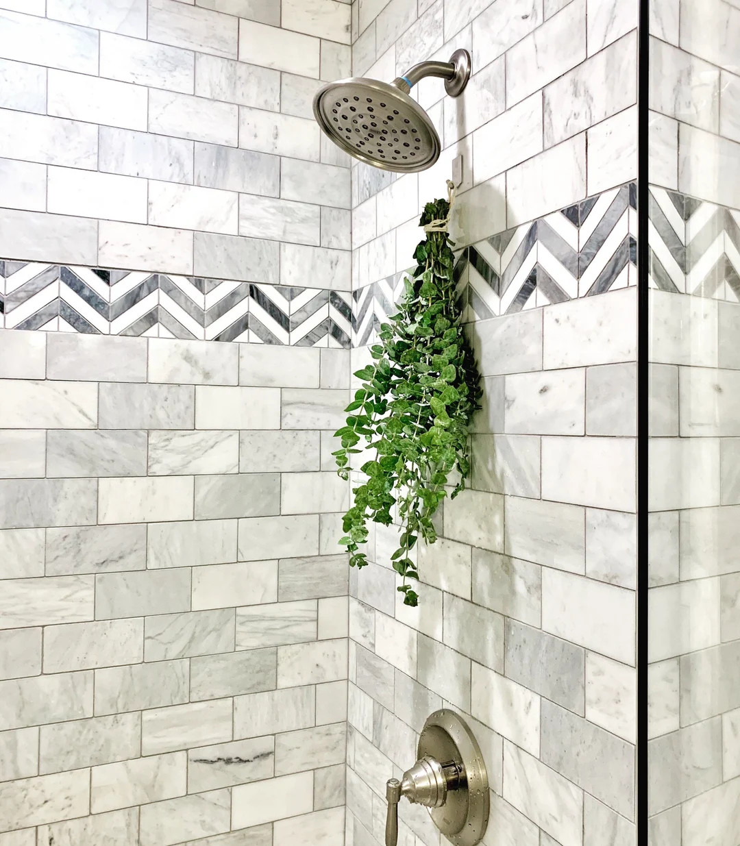 Fresh Eucalyptus Shower Bundle, Indoor Shower Plants, Fresh Eucalyptus Plant, Easy Plants, Boho D... | Etsy (US)
