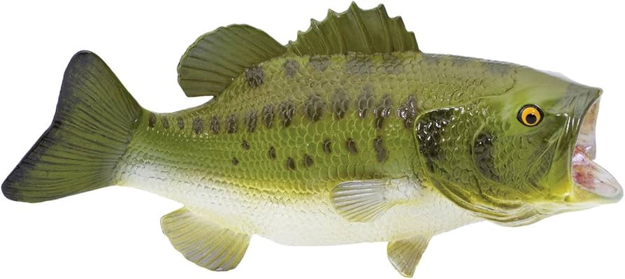 Safari Ltd. Largemouth Bass Figurine - Hand-Painted, Authentic 6.25" Model Figure - Fun and Educa... | Amazon (US)