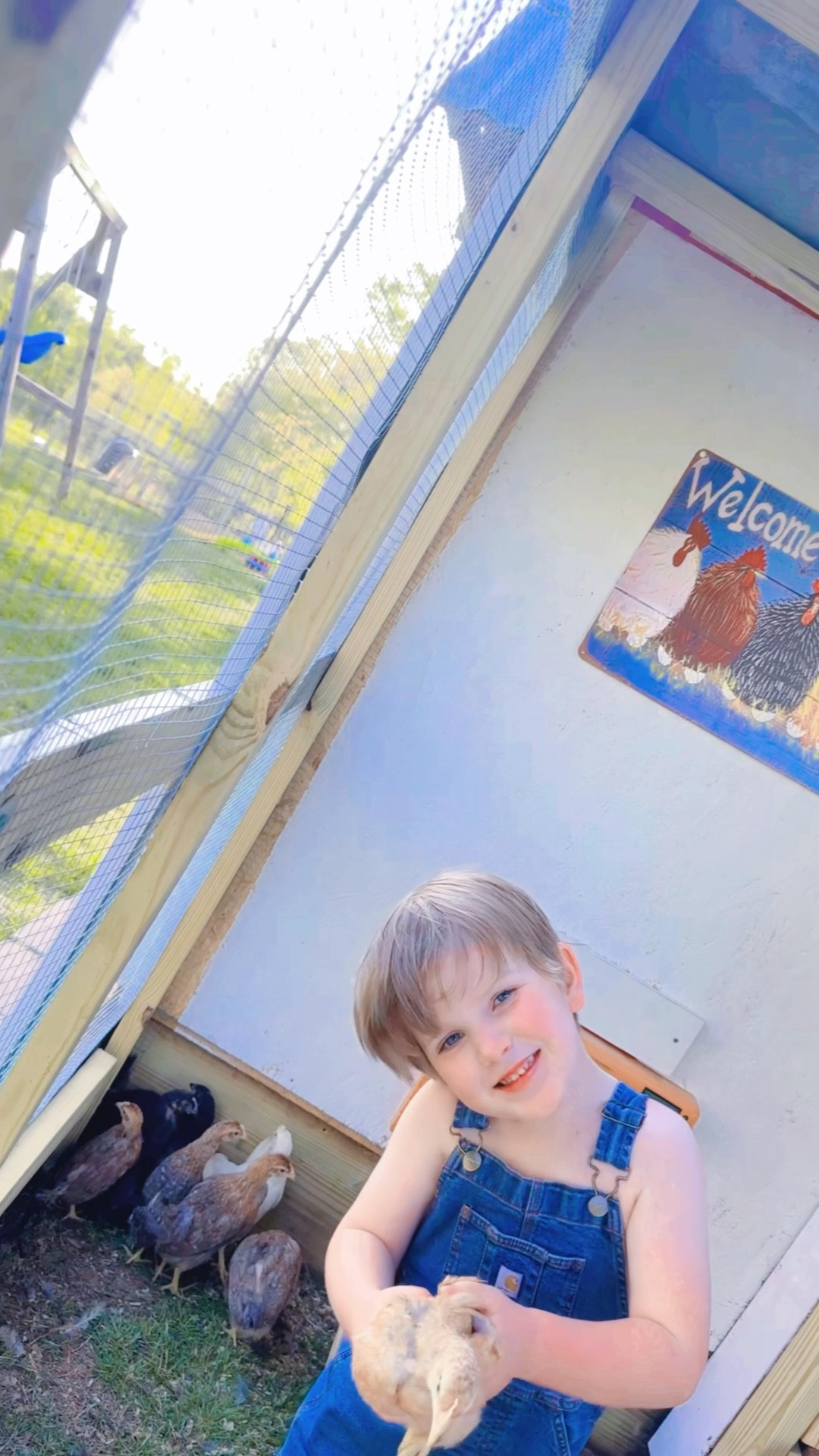 and came back home to the farm with some new additions 🤭 - we welcomed even more (!!) sweet baby chicks 🐥🐓 to the farm 🚜 (the same age as our current chickadees actually - that’s been our plan!!) and eek I’m so excited to hopefully have alllll the colorful eggs 🥚 by late this summer!! 🌞 our flock is officially complete!!! ✔️ 