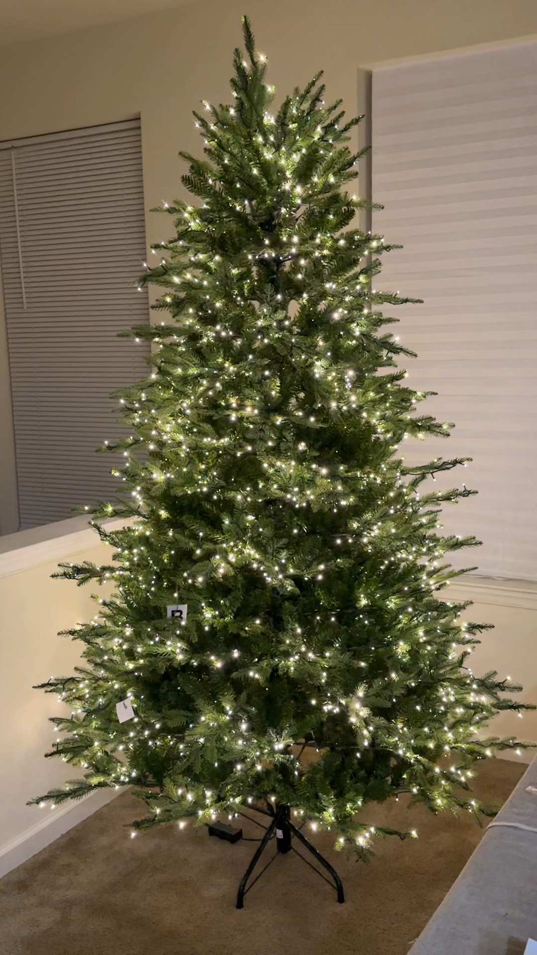 POV: The viral Christmas is back in stock and its more beautiful than ever!
#christmas2024 #viraltwinklelighttree #homedepottree #viralchristmastree

#LTKHoliday #LTKMidsize #LTKHome
