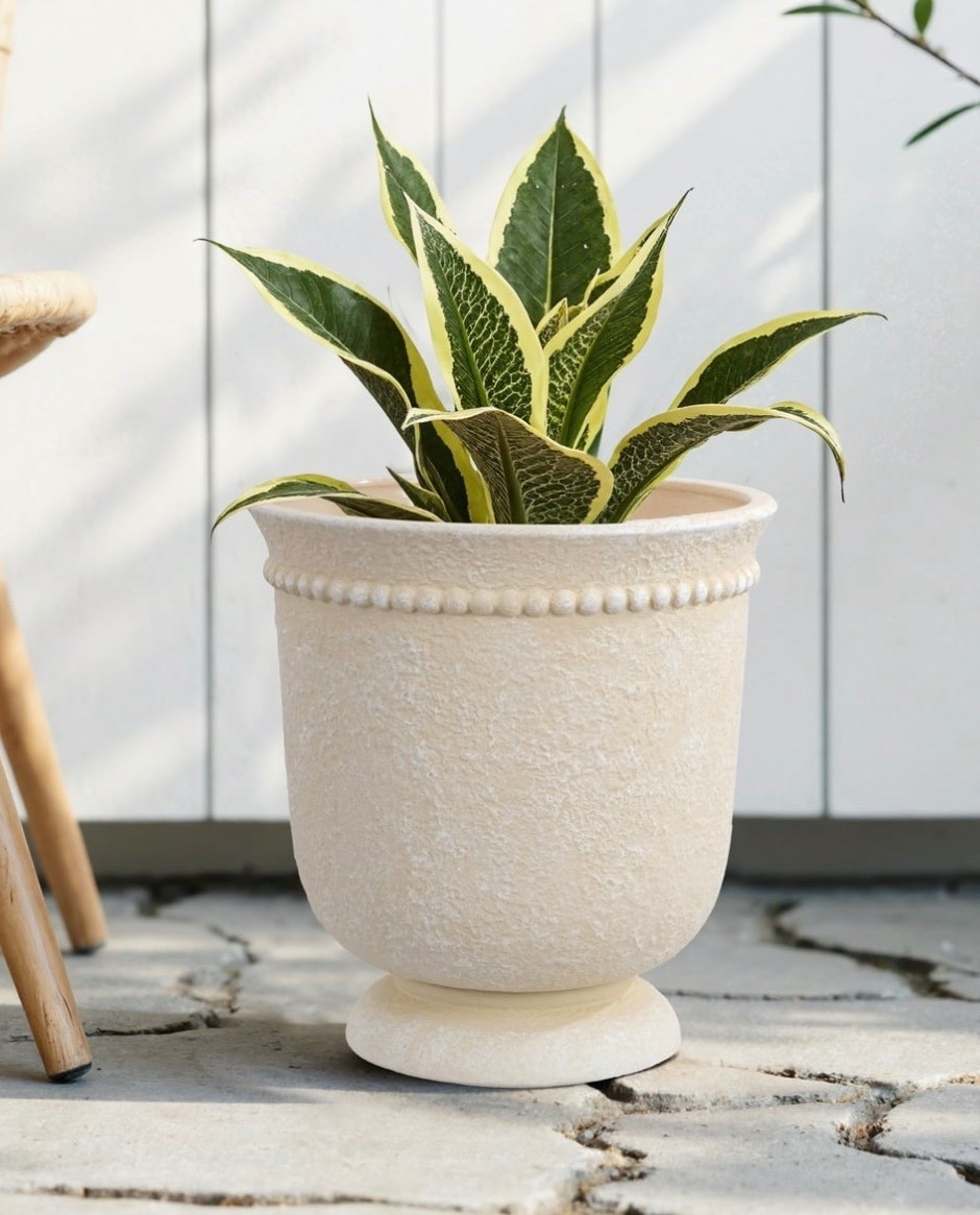 This planted has been a popular seller! It’s such a great deal- just $11!

#LTKmomlife #LTKHome #LTKMothersDay