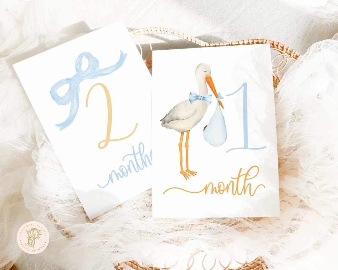 Boy Milestone Cards | Milestone cards | Stork | Baby Gift | New Mom | Gift Ideas | Baby Shower | ... | Etsy (US)