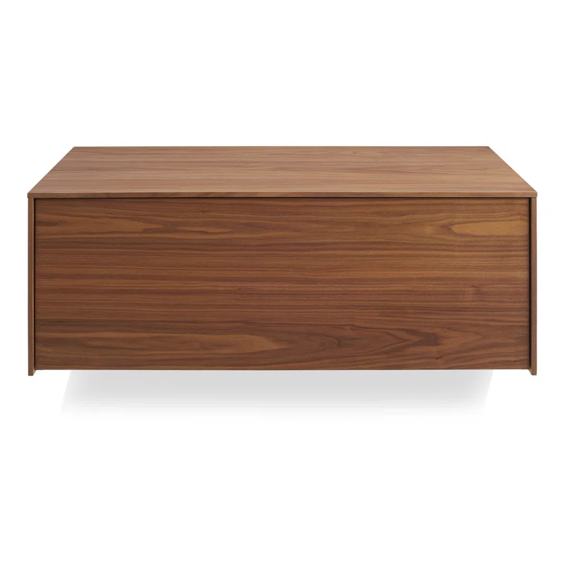 Walnut Wonder Wall 2.0 1 Door Cabinet | Wayfair North America