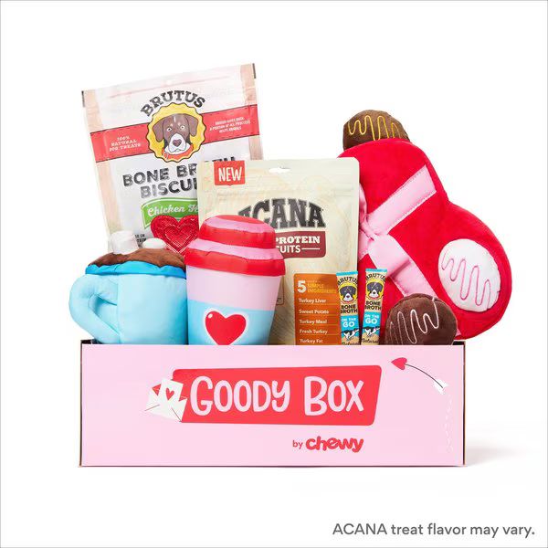 GOODY BOX Valentine's Dog Toys & Treats, Small - Chewy.com | Chewy.com