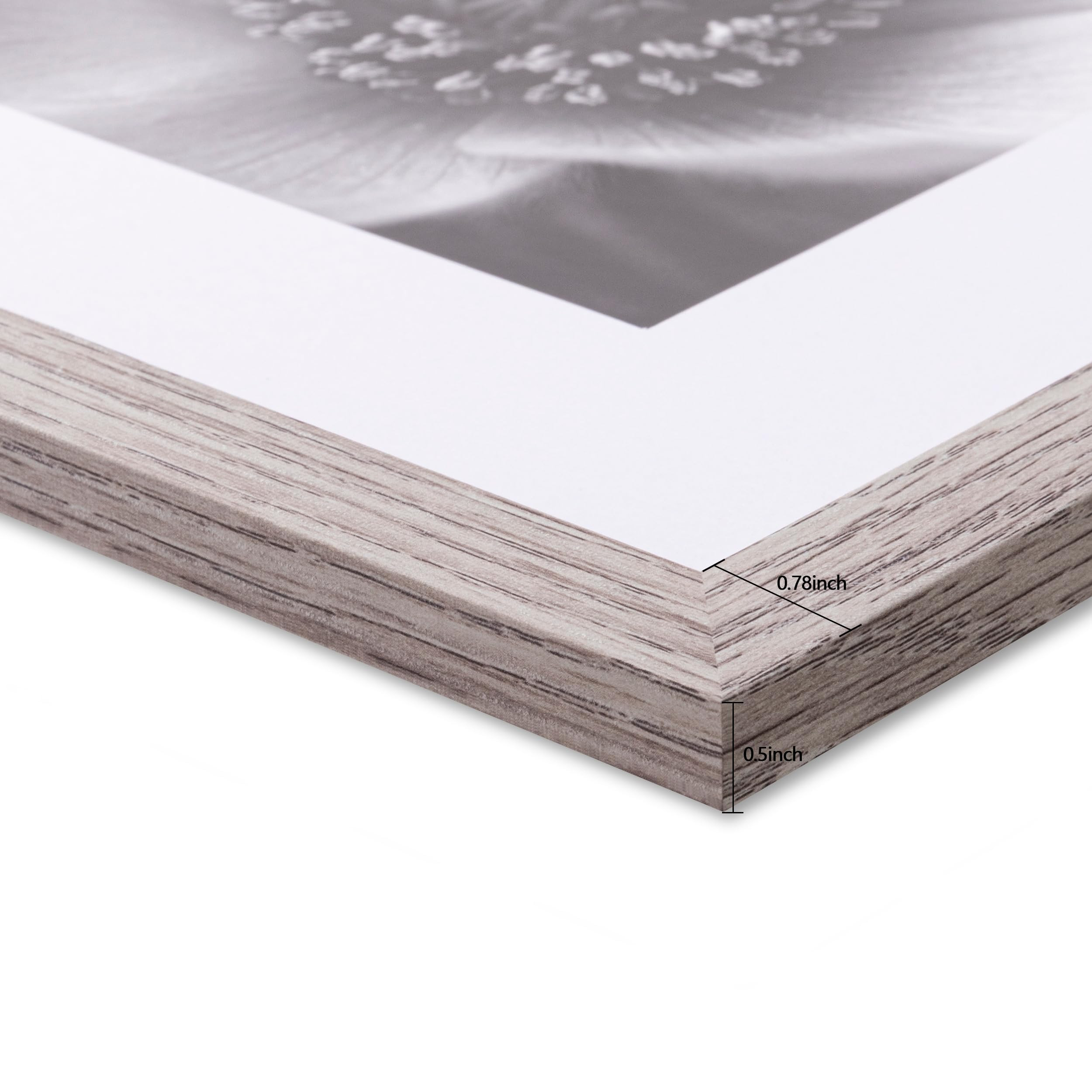 eletecpro 12x12 Picture Frames Set of 9 with Mat for 8x8 Photos or without Mat for 12x12, Square ... | Amazon (US)