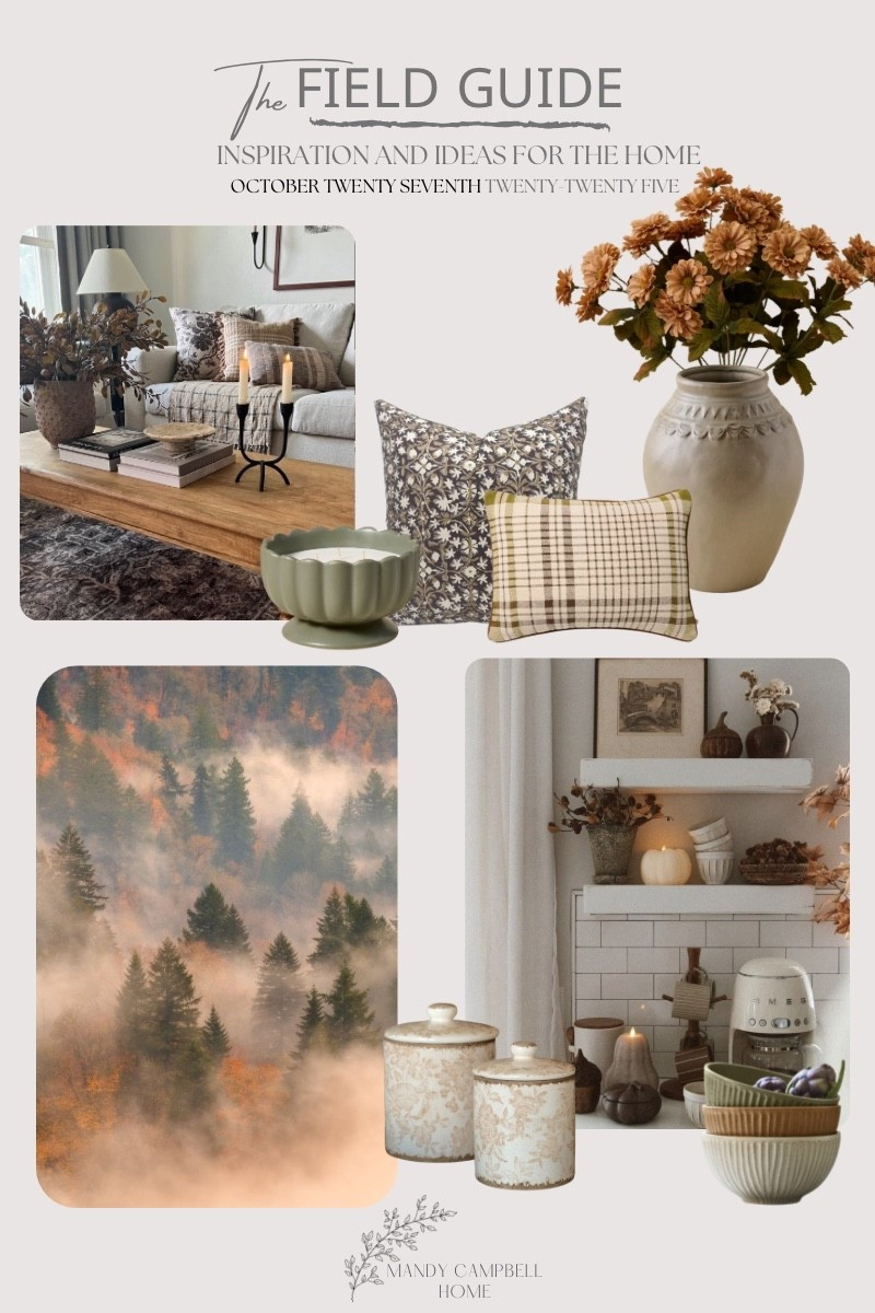 As October winds down and this season is coming to an end (at least in our feeds), this week’s Field Guide is all about those cozy fall mornings that make you want to stay home just a little longer. I’ve been loving simple seasonal touches that make a space feel warm and lived in. There’s something so comforting about bringing in these rich, natural tones and textures as the days get cooler.

#LTKSeasonal #LTKFindsUnder50 #LTKHome