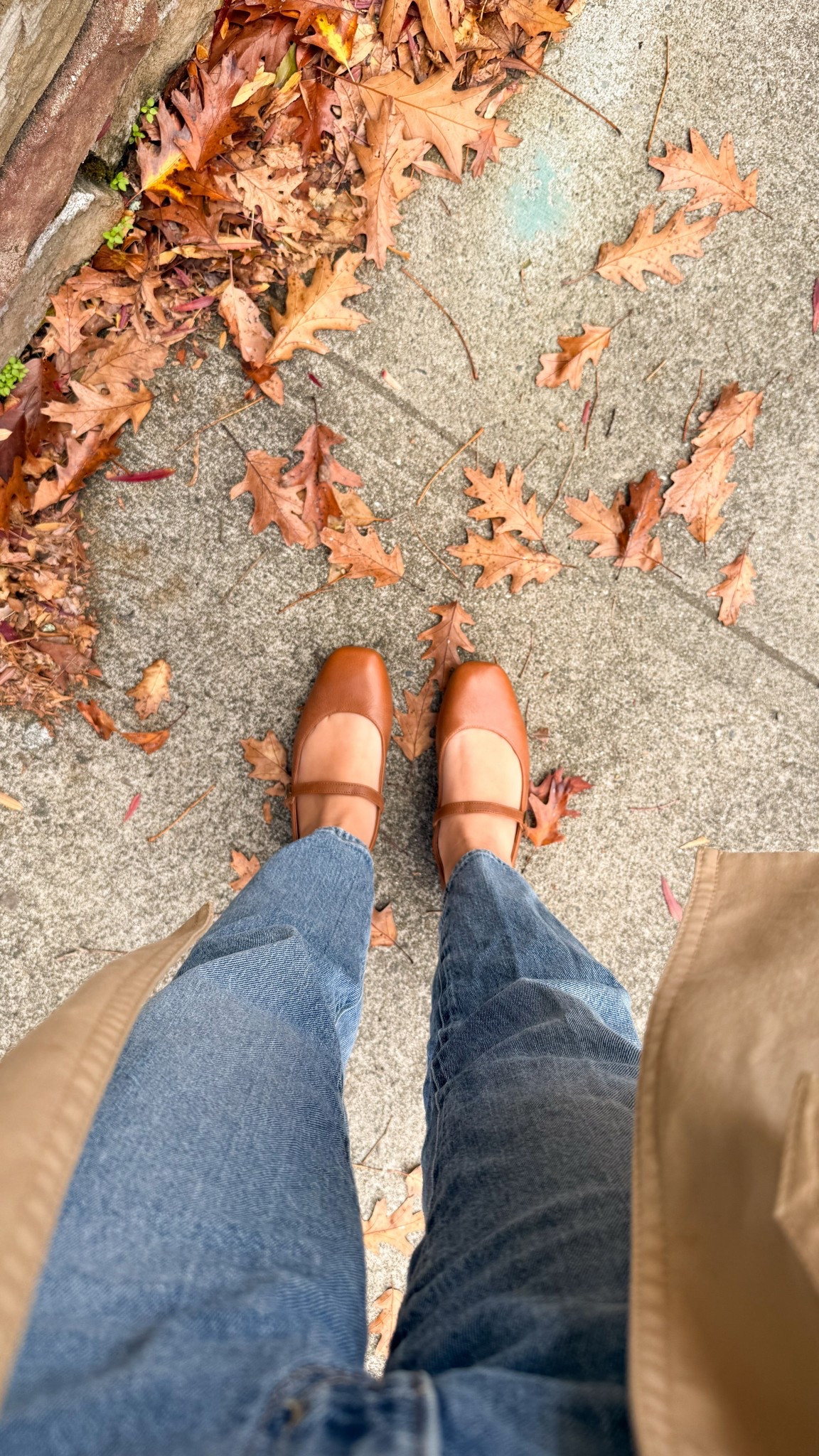 Fall flat comfy shoes, Mary Janes with Velcro strap and cushioned footbed. Lots of colors!

#LTKHoliday #LTKShoeCrush #LTKSeasonal