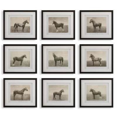 Uttermost Equine Dynasty Framed Prints, Set of 9 | Target