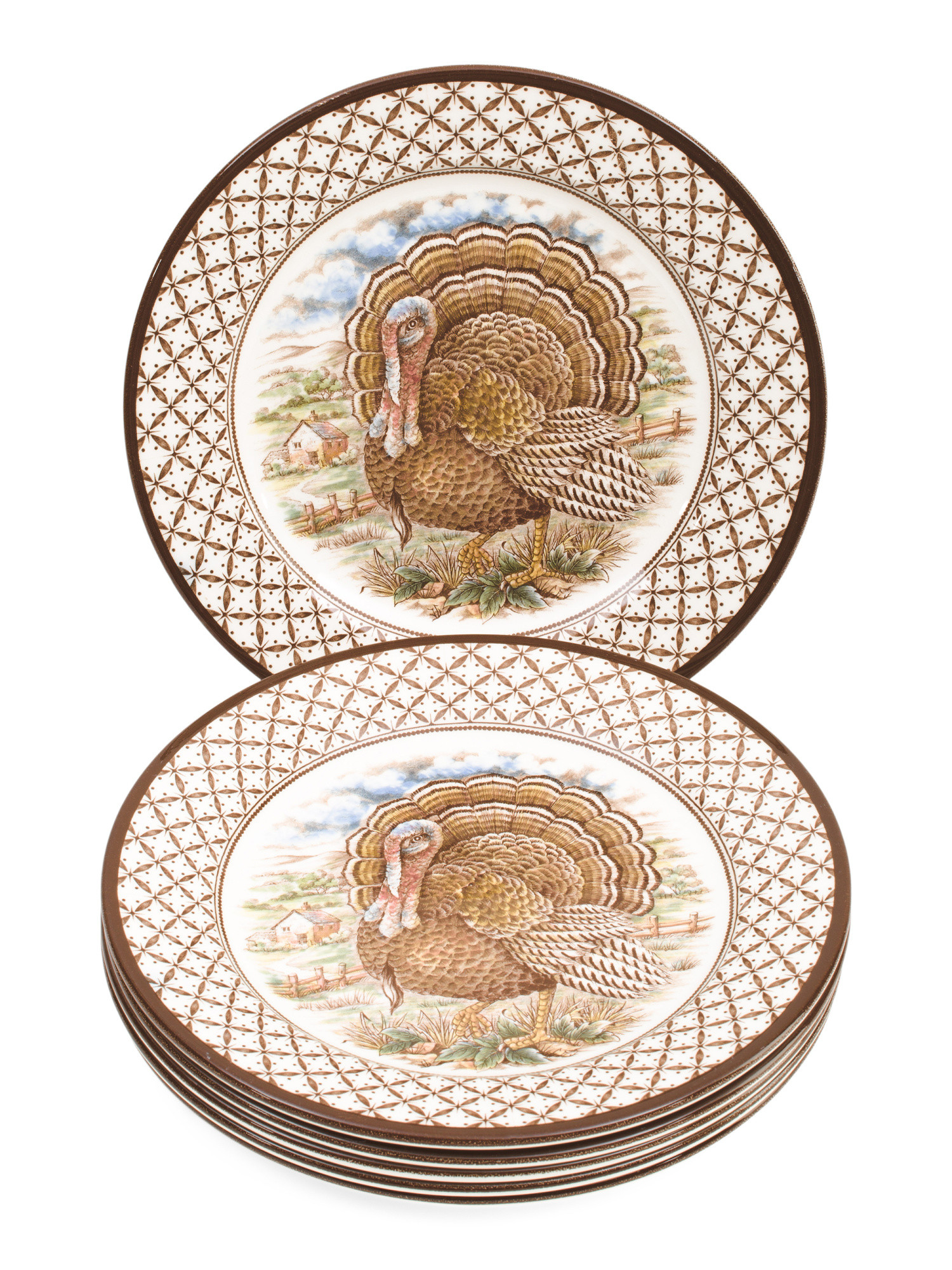 Made In England Set Of 6 Chantilly Turkey Salad Plates | Global Home | Marshalls | Marshalls