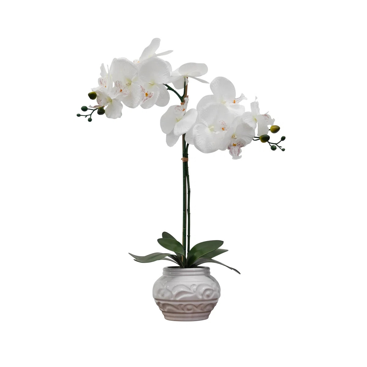 Silk Orchid Arrangement in Vase | Wayfair North America