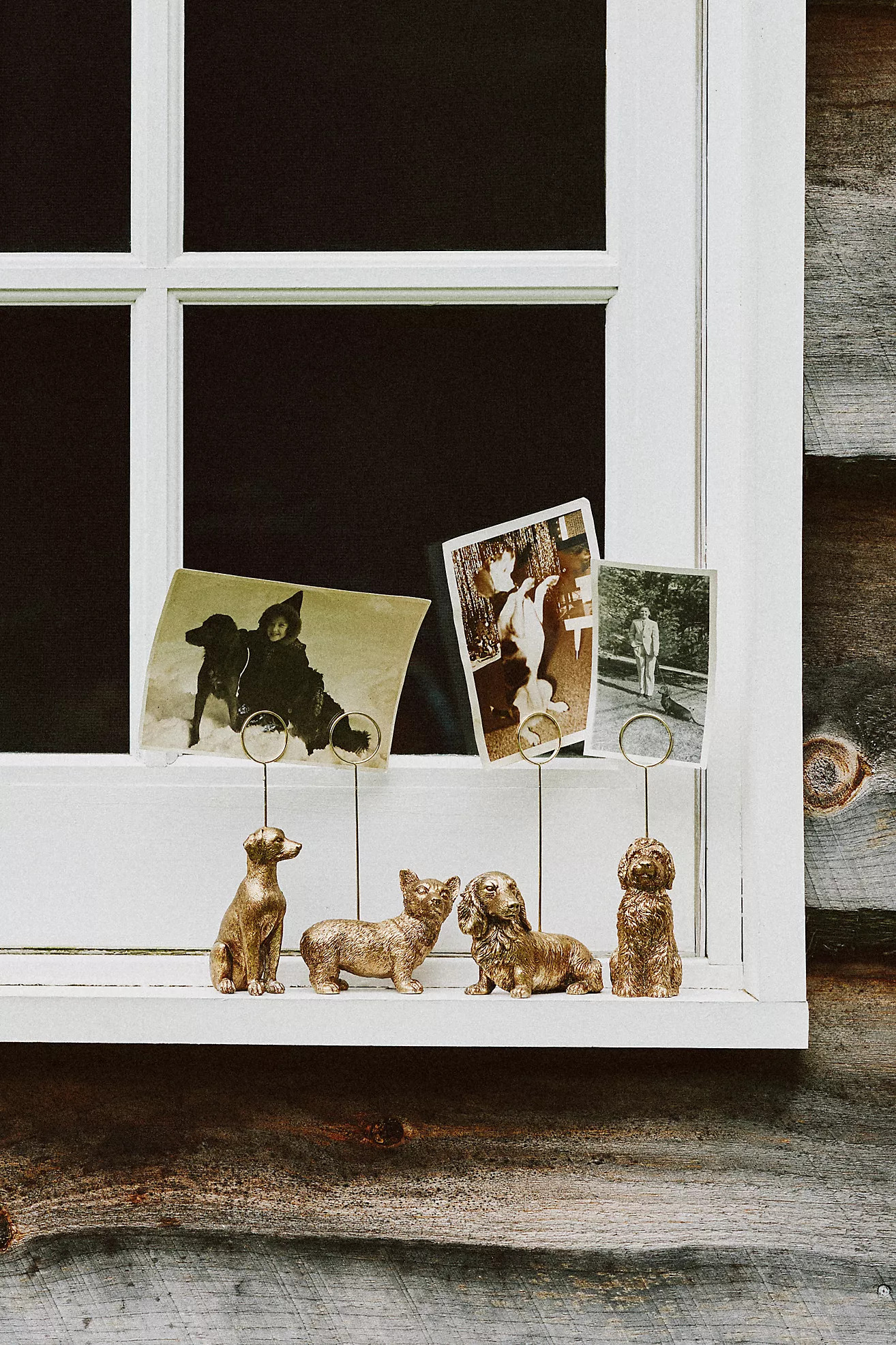 Animal Icon Photo Holder: Dog Edition | Anthropologie (US)