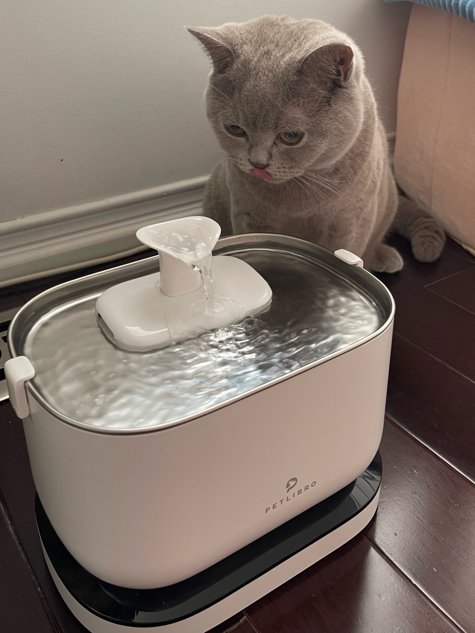 wireless dock cat water fountain 💦

#LTKFind #LTKunder50 #LTKhome