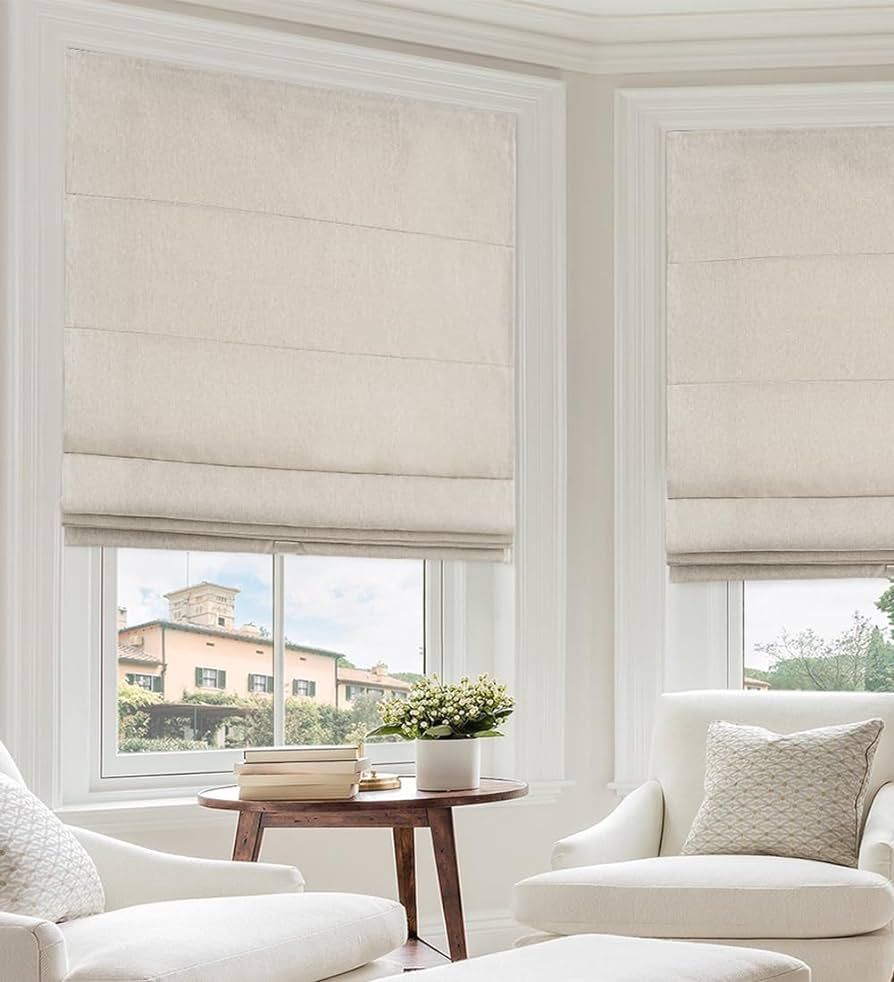 Roman Shades for Windows Cordless, Fabric Roman Window Shades for Bedroom, Living Room and Home, ... | Amazon (US)