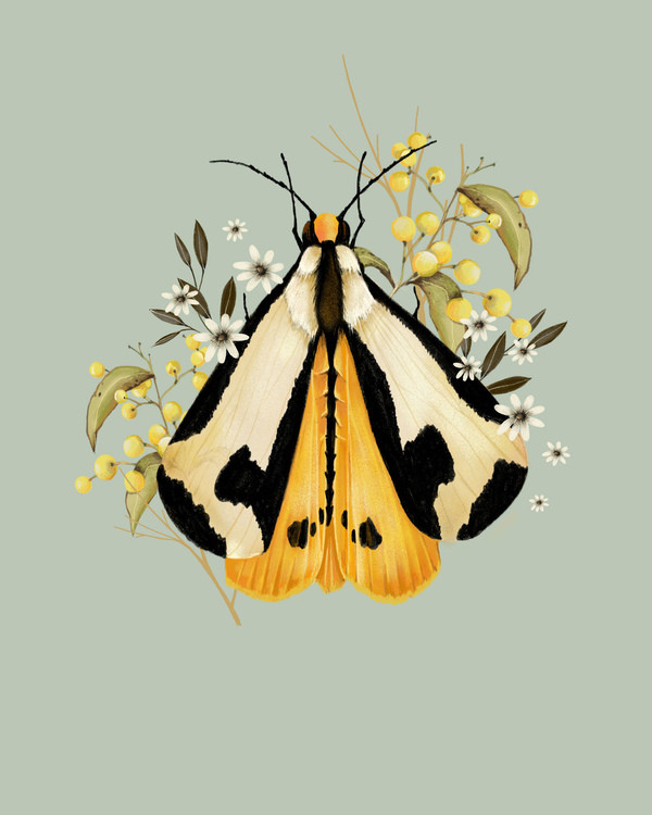 moth and berries | Artfully Walls