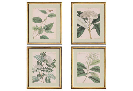 Botanicals | One Kings Lane