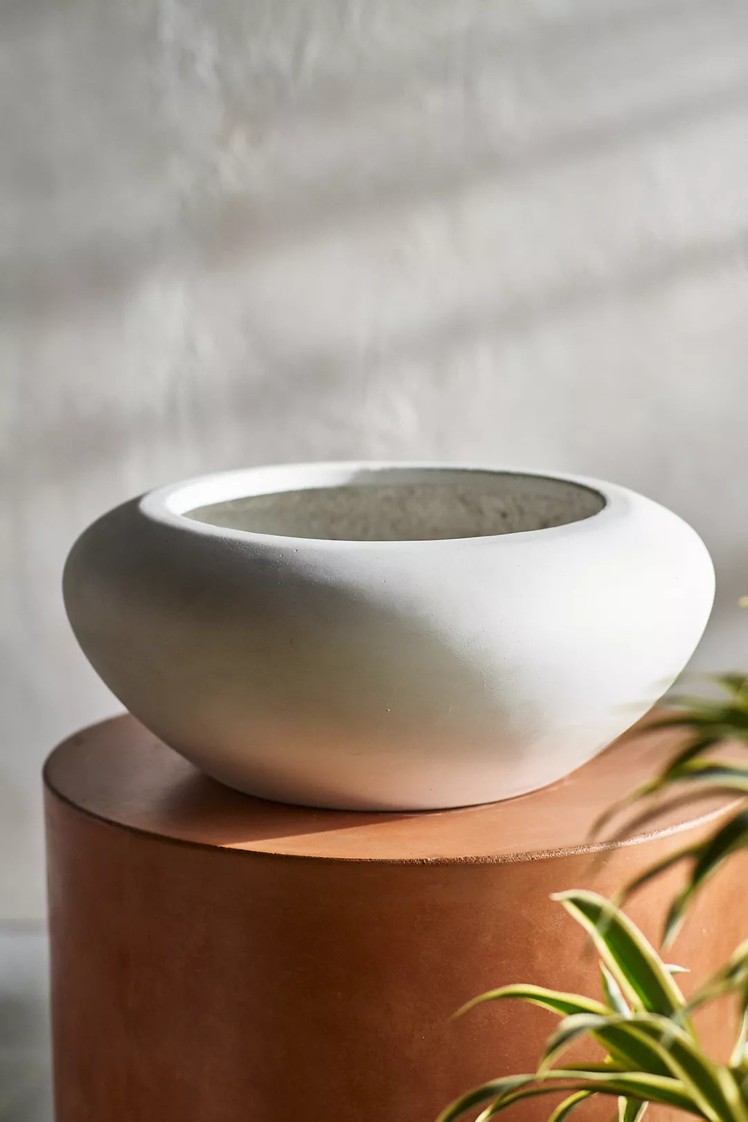 Smooth Concrete Bowl Planter | Anthropologie (US)