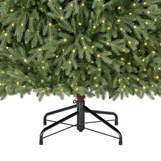 Home Accents Holiday 7.5 ft. Pre-Lit LED Jackson Noble Artificial Christmas Tree W14N0202 - The H... | The Home Depot