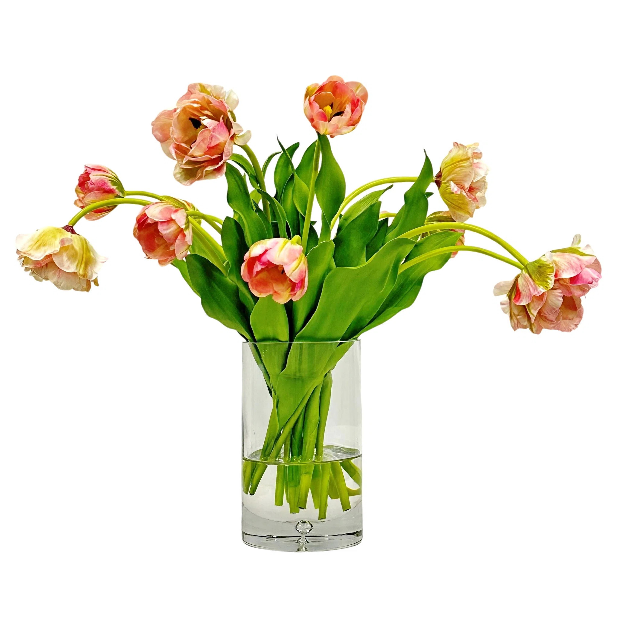 DOUBLE TULIP WITH LEAVES IN CYLINDER | Perigold