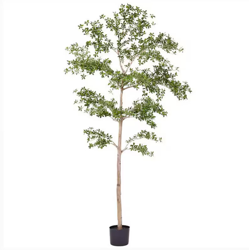 Faux Black Olive Tree, Shady Lady Tree, Black Olive Tree, Olive Tree - Etsy Canada | Etsy (US)