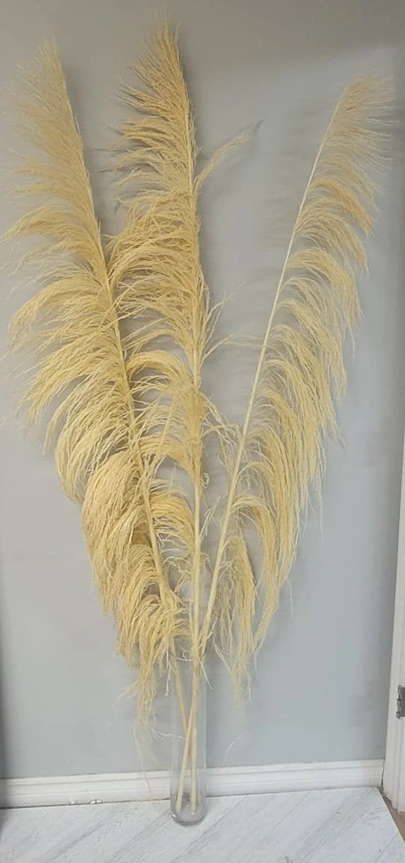 6FT 3pc Natural UVA Stalk/pampas/natural Stalk/natural Branches/rustic Decor/home Decoration/home... | Etsy (US)