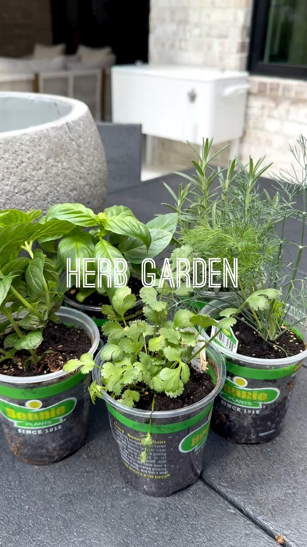 #ad Starting my herb garden! Grab everything you need @loweshomeimprovement! Shop now during SpringFest! #lowespartner

#LTKSeasonal #LTKHome