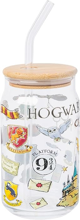 Silver Buffalo Harry Potter Hogwarts Platform 9 3/4 Gryffindor Hedwig Glass Jar Tumbler with Bamb... | Amazon (US)
