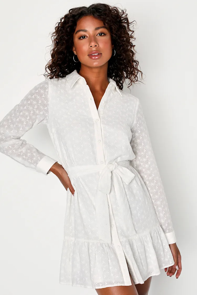 Cutest Attitude White Eyelet Embroidered Collared Mini Dress | Lulus (US)
