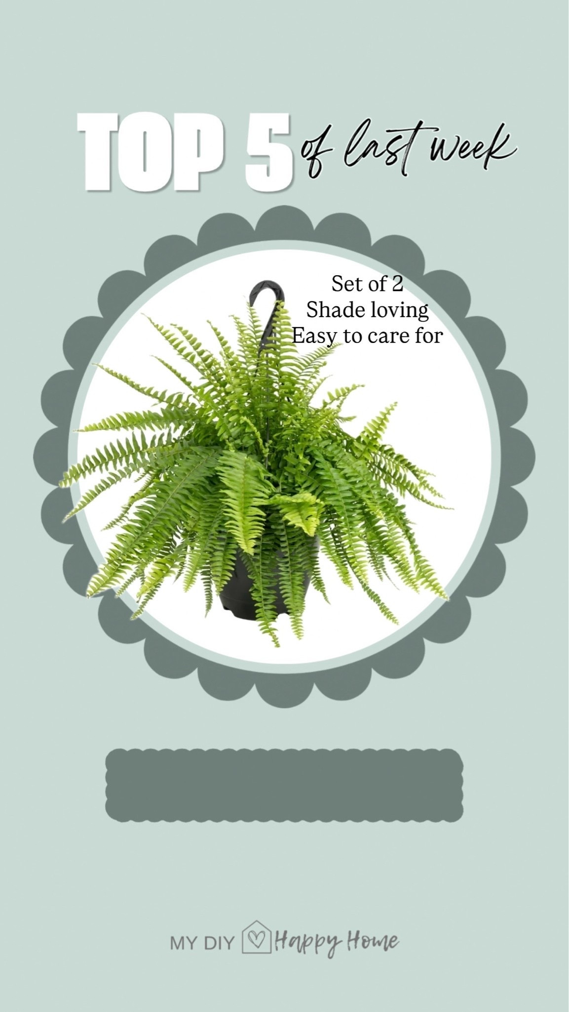 #4 most loved this week-

Live Boston Ferns
Choose from one pack or two pack 
Shade loving 
Low maintenance

#LTKSeasonal #LTKHome #LTKdayinmylife