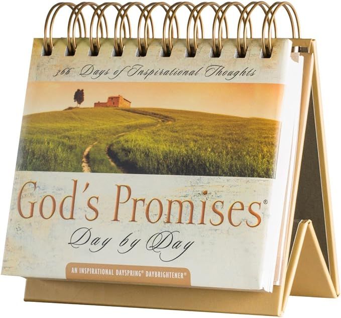 God's Promises Day by Day: 365 Days of Inspirational Thoughts - An Inspirational DaySpring DayBri... | Amazon (US)