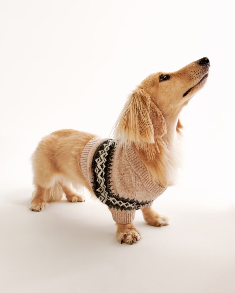 A&F Pet Sweater | Abercrombie & Fitch (US)