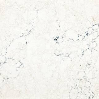 CAMBRIA 3 in. x 3 in. Quartz Countertop Sample in Travella 10380566 - The Home Depot | The Home Depot
