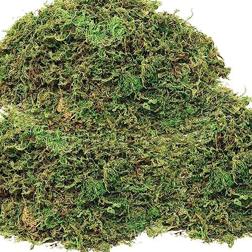 19 OZ Fake Moss for Potted Plants for Fake Plants,Artificial Moss for Crafts,Faux Moss for Fake P... | Amazon (US)