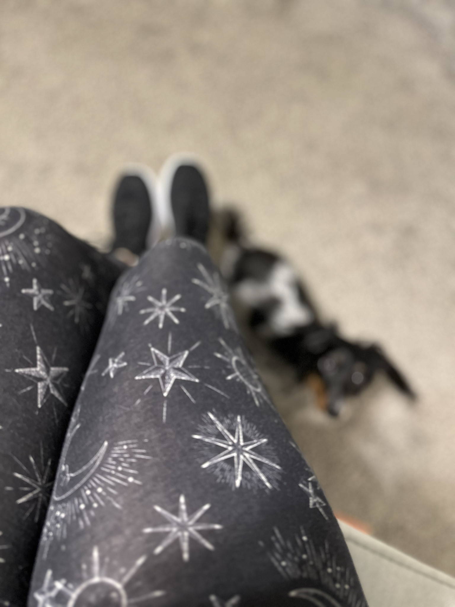 Love these #walmart Celestial leggings for a quick dog walk! 

#LTKhome #LTKfindsunder50 #LTKstyletip