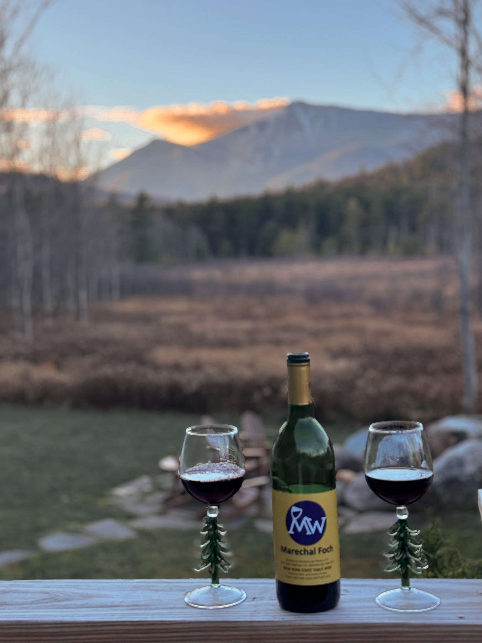 Cutest Christmas tree wine glasses 🎄 

#LTKSeasonal #LTKGiftGuide #LTKHoliday