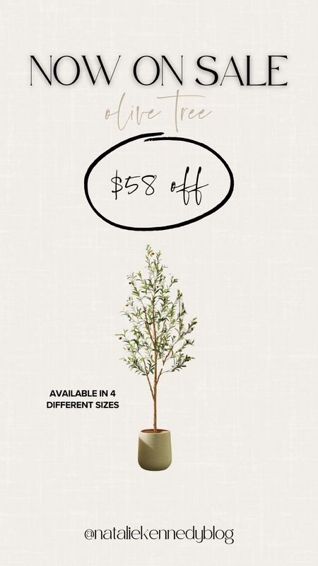 Olive Tree- still on sale! Available in 4 different sizes! 