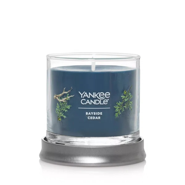 Signature Bayside Cedar Scented Tumbler Candle | Wayfair North America