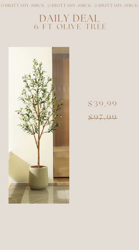 Olive Tree 6 Foot Home Interior Living Room Decor Plant Sale

#LTKSaleAlert #LTKHome #LTKFindsUnder100