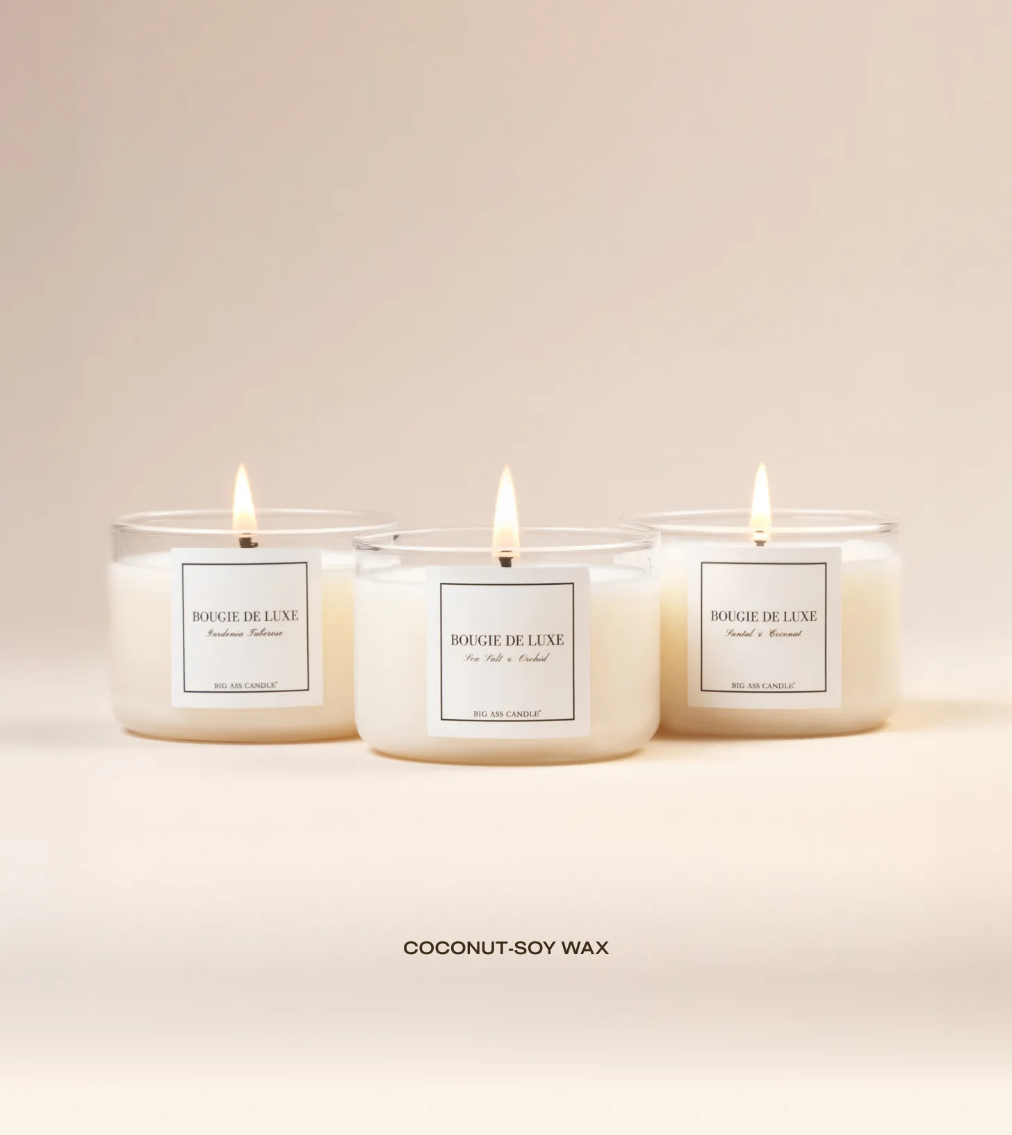 Coastal Bloom - Trio Bundle | Big Ass Luxuries