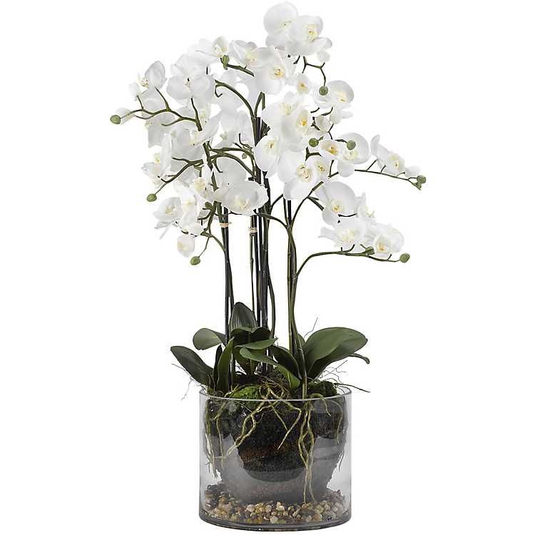 White Orchids in Glass Dish | Kirkland's Home