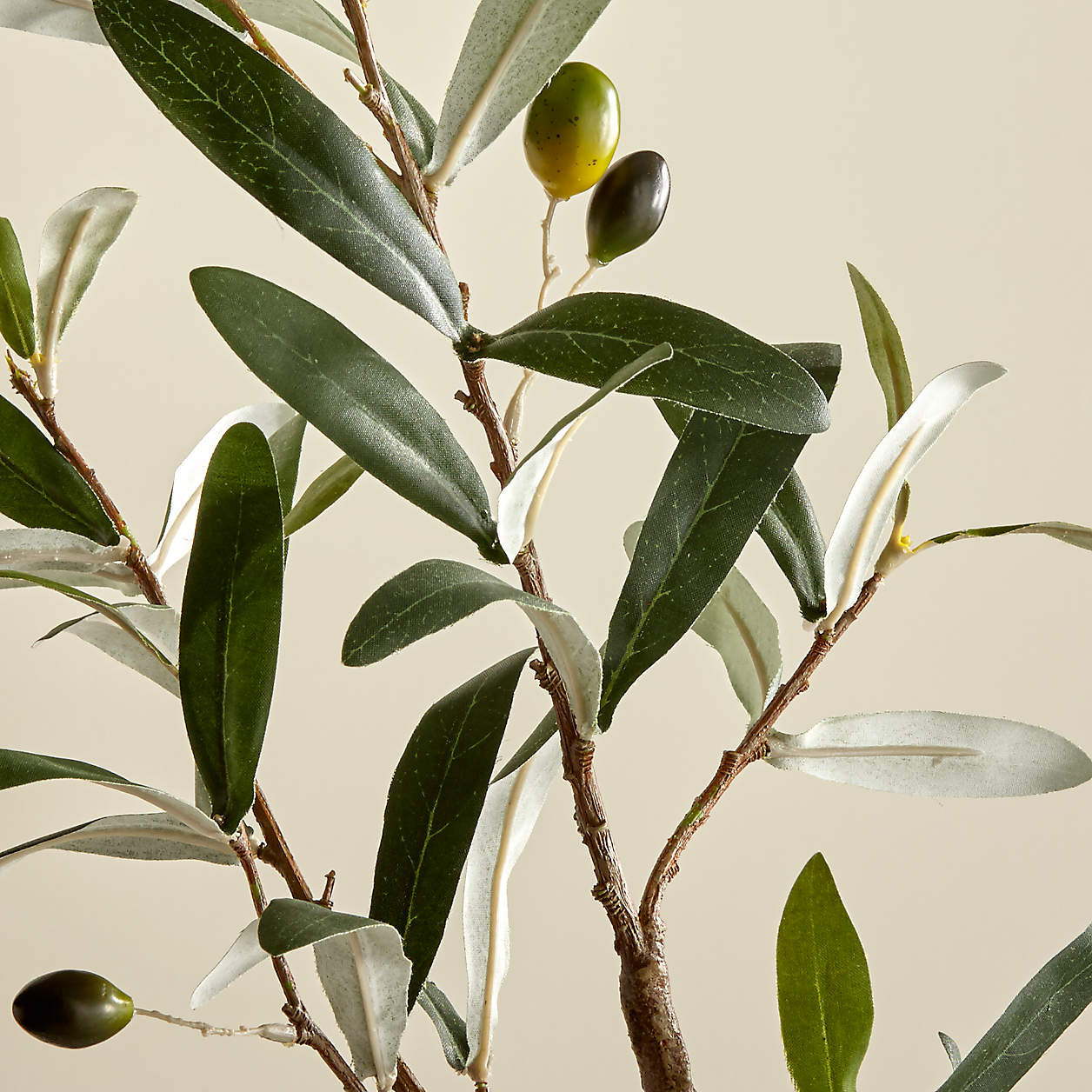 Artificial/Faux Olive Stem + Reviews | Crate and Barrel | Crate & Barrel