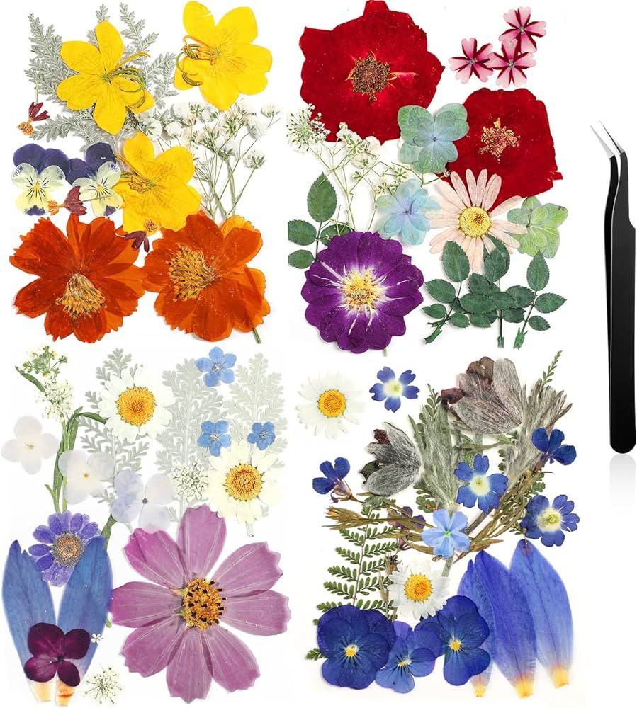 Brand: Nuanchu | Amazon (US)