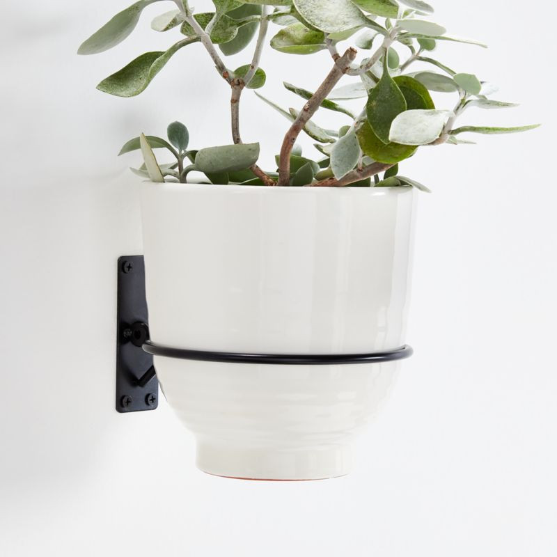 Wall Planter Hook + Reviews | Crate and Barrel | Crate & Barrel
