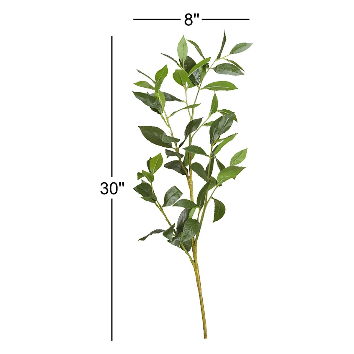 Bay Leaf Arrangement (Set of 3) | Wayfair North America
