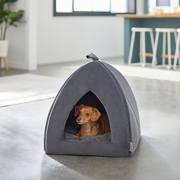 Frisco Tent Covered Cat & Dog Bed, Gray, Medium | Chewy.com