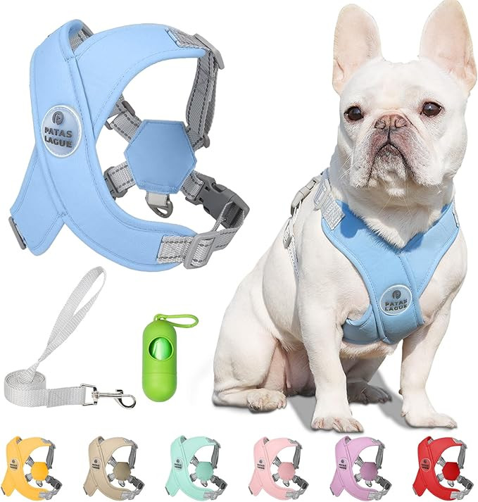 Patas Lague Dog Harness with Leash Adjustable Soft Padded Step-in Dog Vest No Choke No Pull Refle... | Amazon (US)