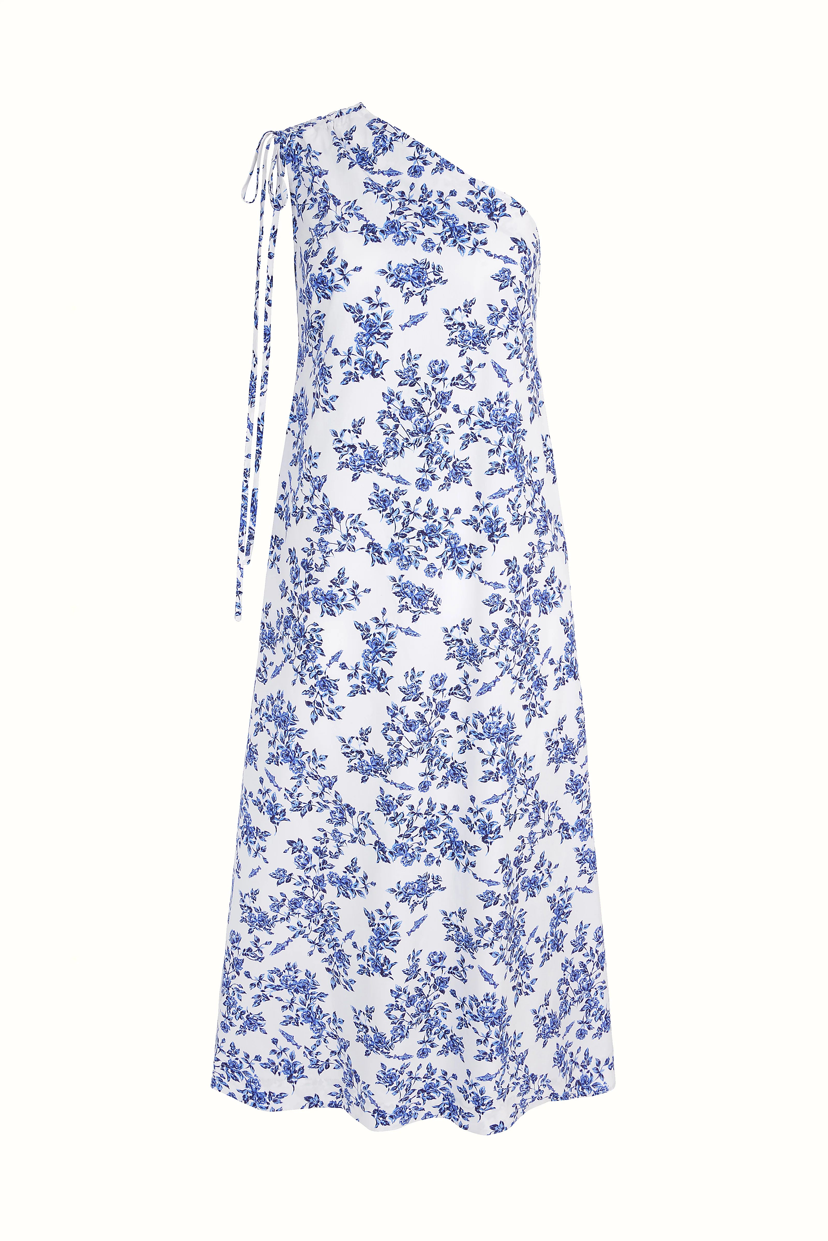 Emilia Wickstead X Passalacqua Solace Dress In Blue Rose Print Cotton | Emilia Wickstead