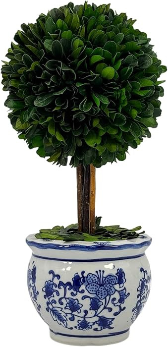 Galt International Naturally Preserved Boxwood Ball Topiary Tree in Round Hand Painted Blue & Whi... | Amazon (US)