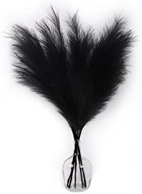 Artificial Pampas Grass Large 40 Inches/100cm （Black） 5 Stems Pampas Grass Decor High Faux Re... | Amazon (US)