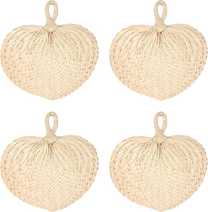 Beistle 4 Piece Raffia Fans, Natural | Amazon (US)