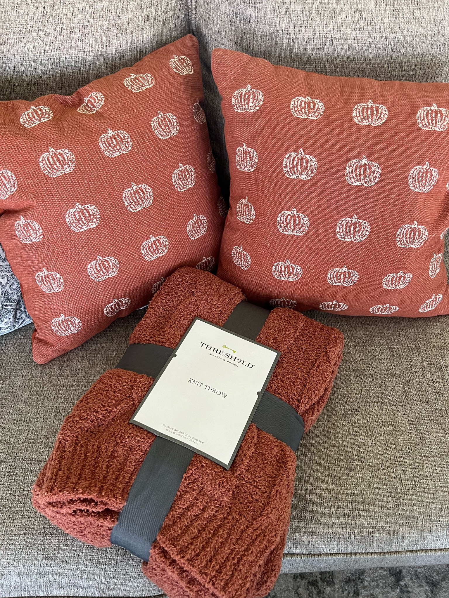 Absolutely love this Barefoot Dreams dupe throw and pumpkin pillows! 20% off right now!!

#LTKsalealert #LTKunder50 #LTKhome